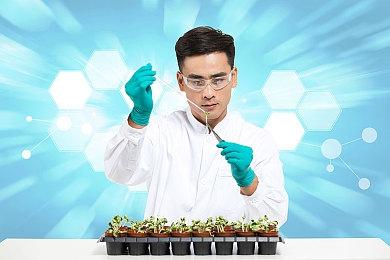 网传《动物森友会》新作正在开发中 2026年发售